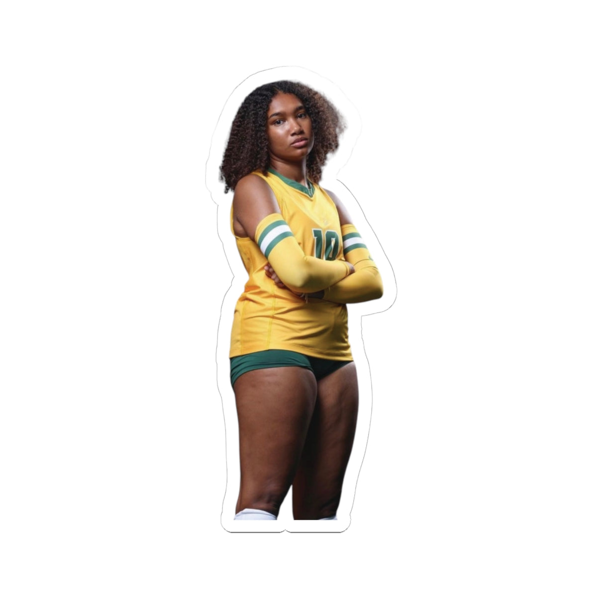 Game Day Spotlight - Custom Fan Sticker