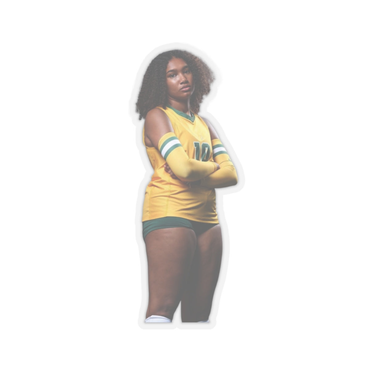 Game Day Spotlight - Custom Fan Sticker